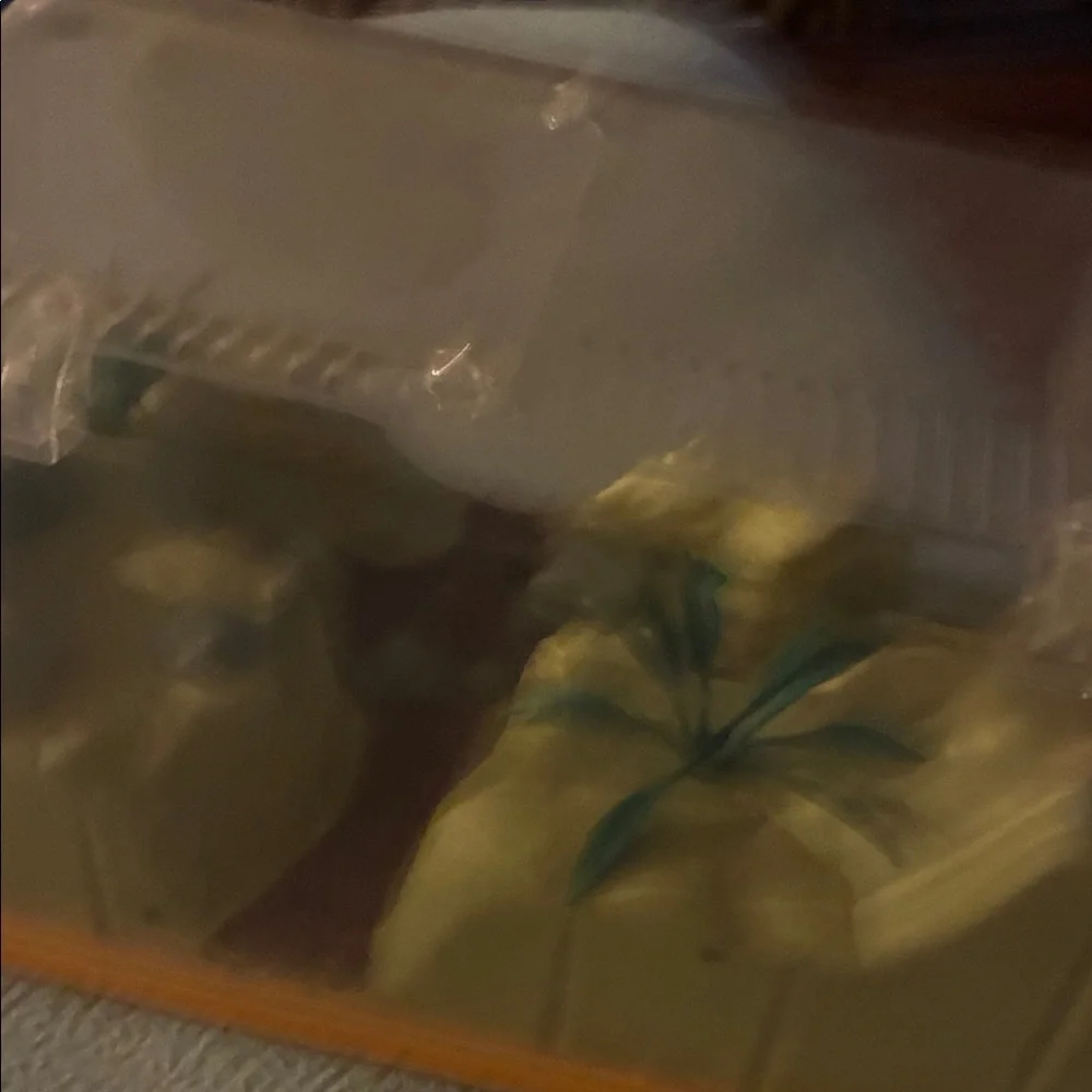 Backyard Safari Habitat Terrarium